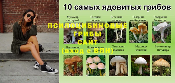соль ск Алексеевка